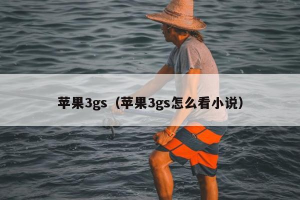 苹果3gs（苹果3gs怎么看小说）