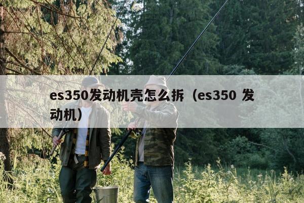 es350发动机壳怎么拆（es350 发动机）