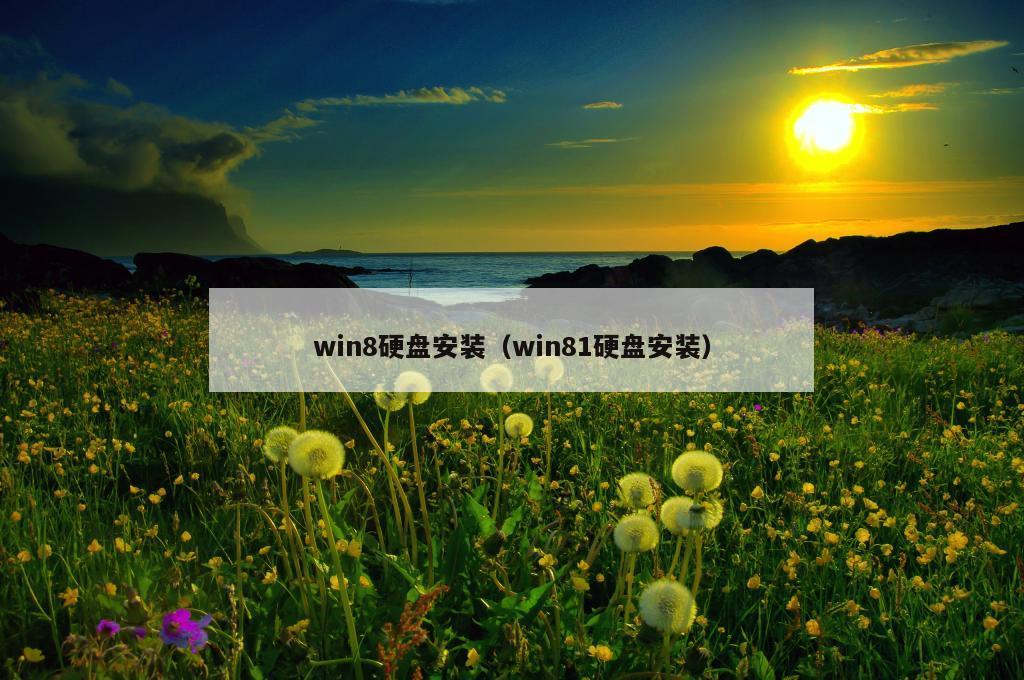 win8硬盘安装（win81硬盘安装）