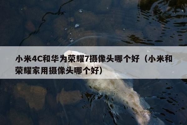 小米4C和华为荣耀7摄像头哪个好（小米和荣耀家用摄像头哪个好）