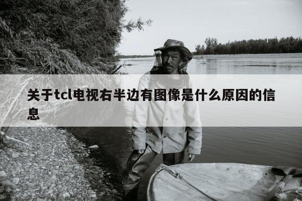 关于tcl电视右半边有图像是什么原因的信息