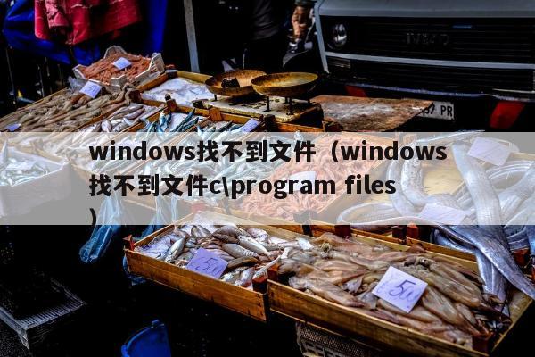 windows找不到文件（windows找不到文件c\program files）