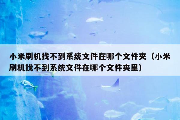 小米刷机找不到系统文件在哪个文件夹（小米刷机找不到系统文件在哪个文件夹里）