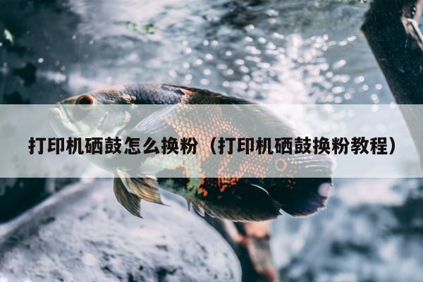 打印机硒鼓怎么换粉（打印机硒鼓换粉教程）