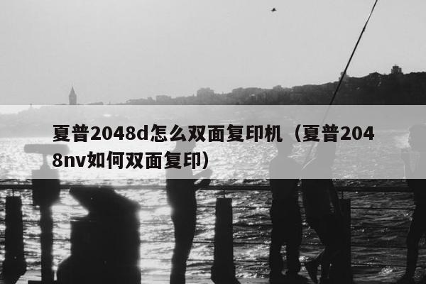 夏普2048d怎么双面复印机（夏普2048nv如何双面复印）