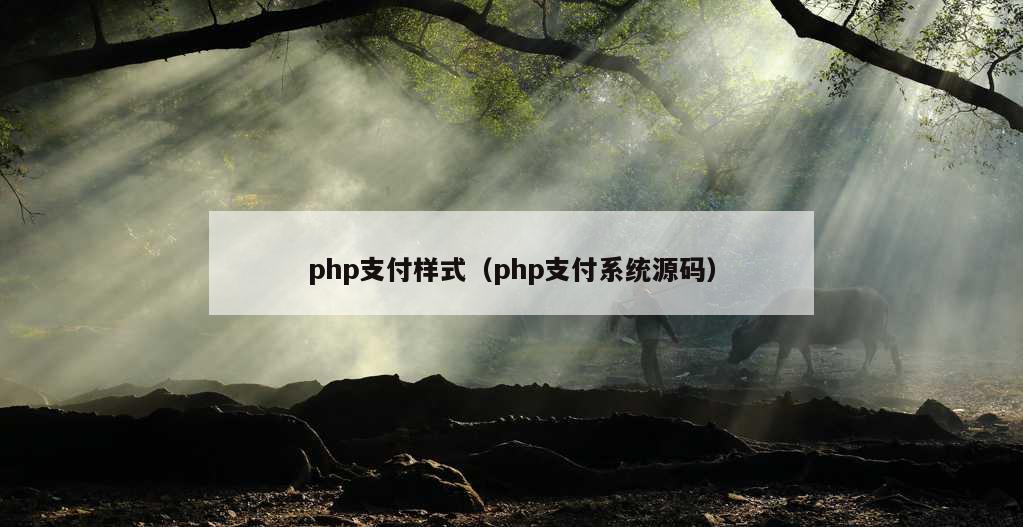 php支付样式（php支付系统源码）