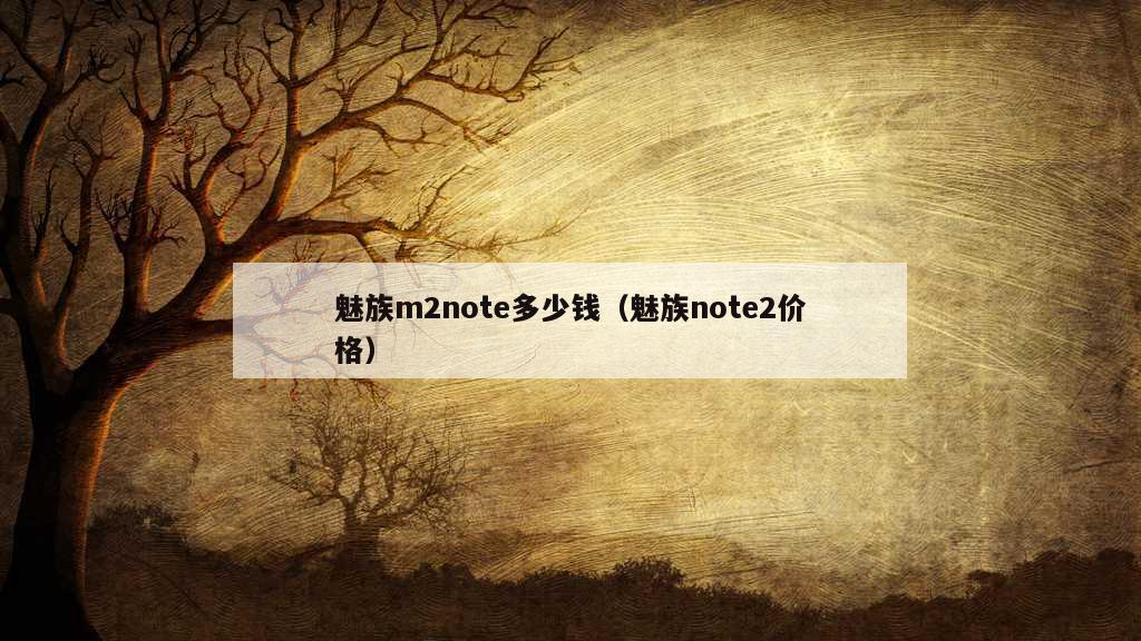 魅族m2note多少钱（魅族note2价格）