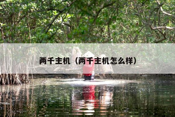 两千主机（两千主机怎么样）