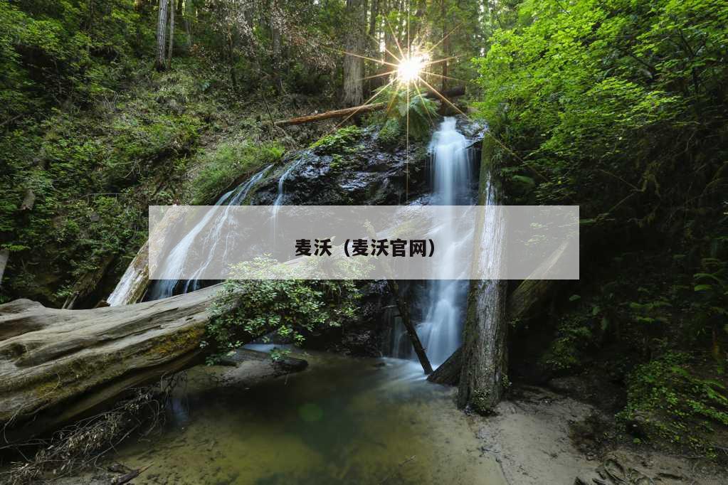 麦沃（麦沃官网）