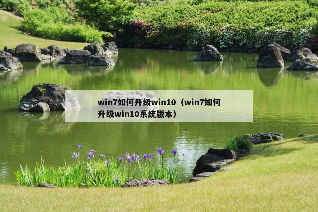 win7如何升级win10（win7如何升级win10系统版本）