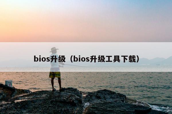 bios升级（bios升级工具下载）