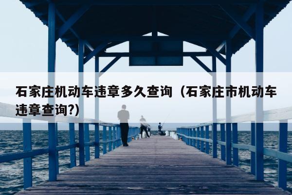 石家庄机动车违章多久查询（石家庄市机动车违章查询?）