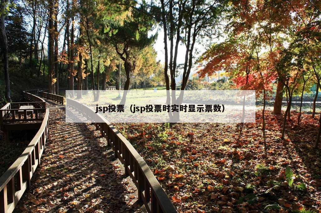 jsp投票（jsp投票时实时显示票数）