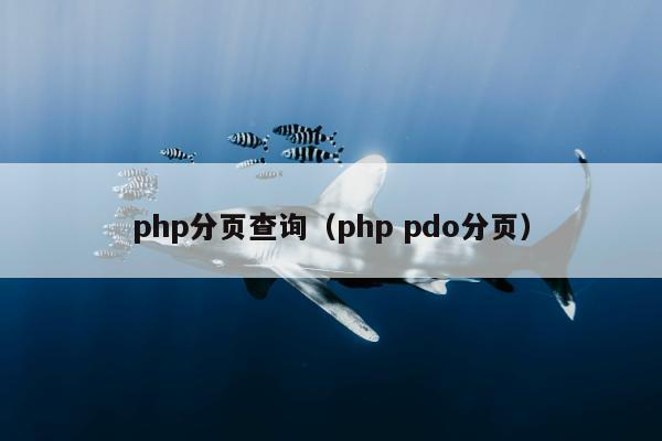 php分页查询（php pdo分页）