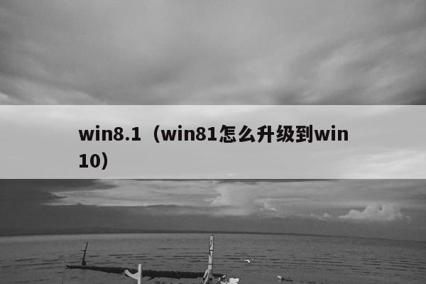 win8.1（win81怎么升级到win10）