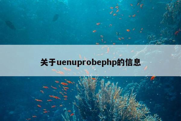 关于uenuprobephp的信息