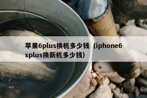 苹果6plus换机多少钱（iphone6splus换新机多少钱）