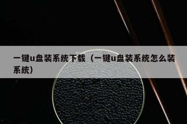 一键u盘装系统下载（一键u盘装系统怎么装系统）