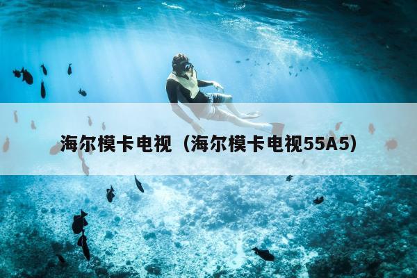 海尔模卡电视（海尔模卡电视55A5）