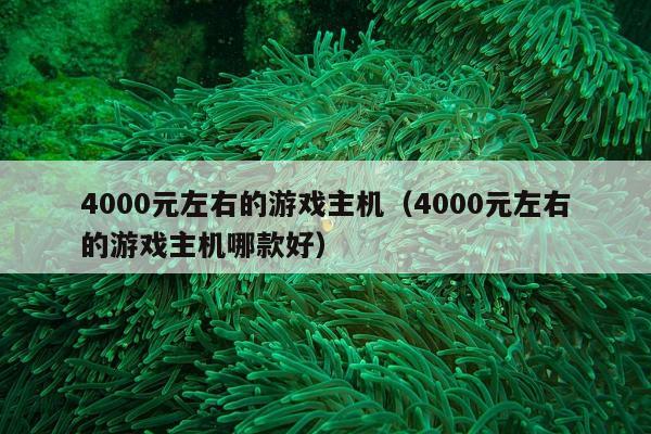 4000元左右的游戏主机（4000元左右的游戏主机哪款好）