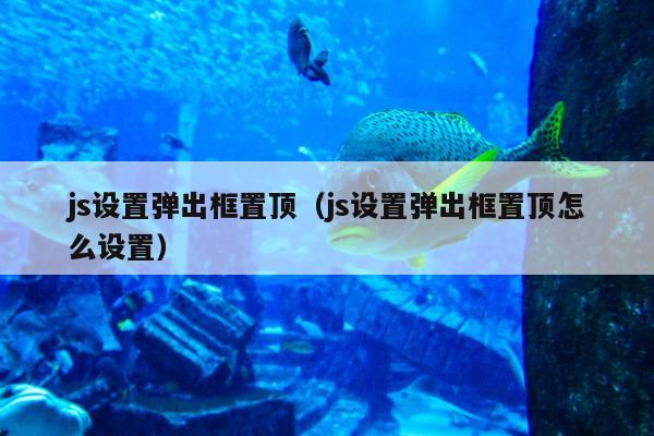 js设置弹出框置顶（js设置弹出框置顶怎么设置）