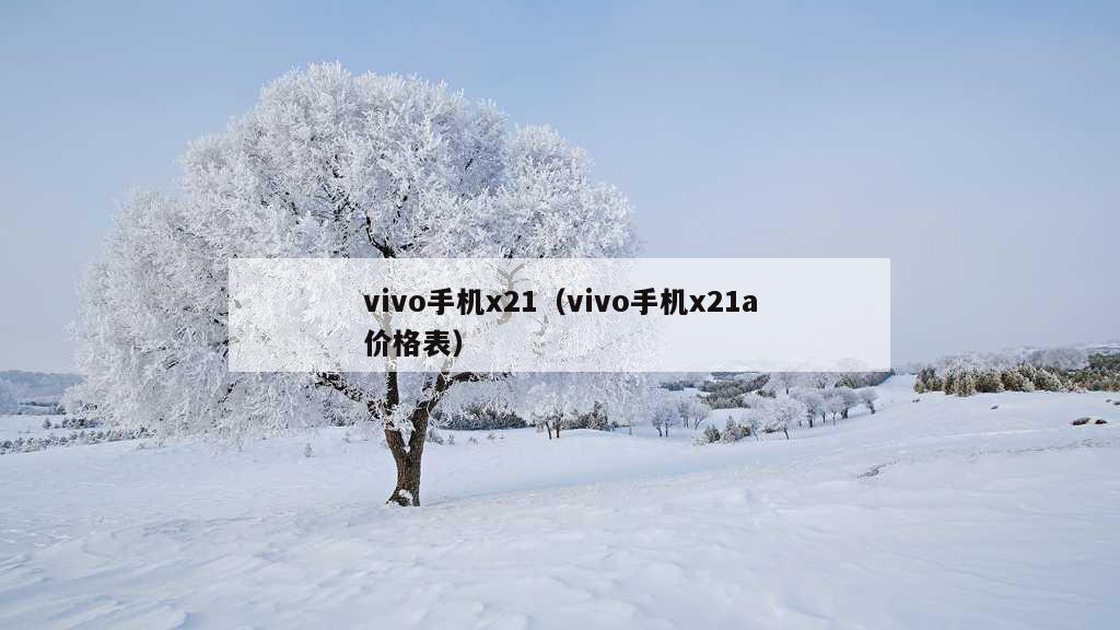 vivo手机x21（vivo手机x21a价格表）