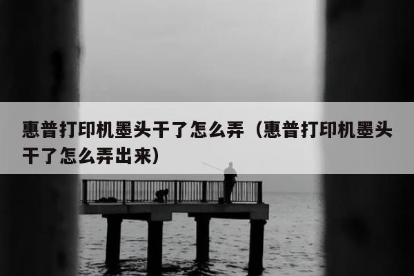 惠普打印机墨头干了怎么弄（惠普打印机墨头干了怎么弄出来）