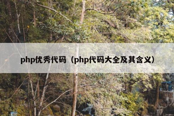 php优秀代码（php代码大全及其含义）