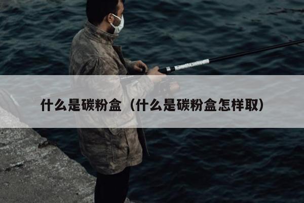 什么是碳粉盒（什么是碳粉盒怎样取）