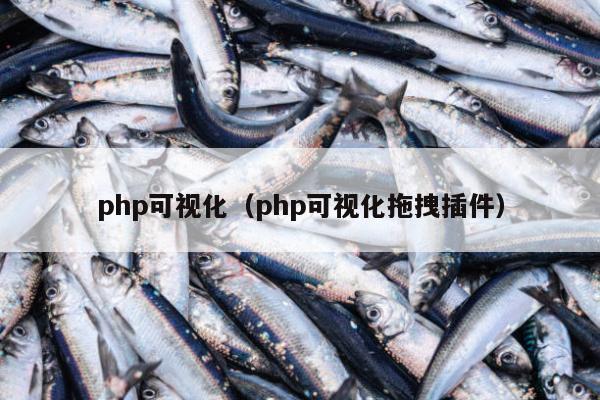 php可视化（php可视化拖拽插件）