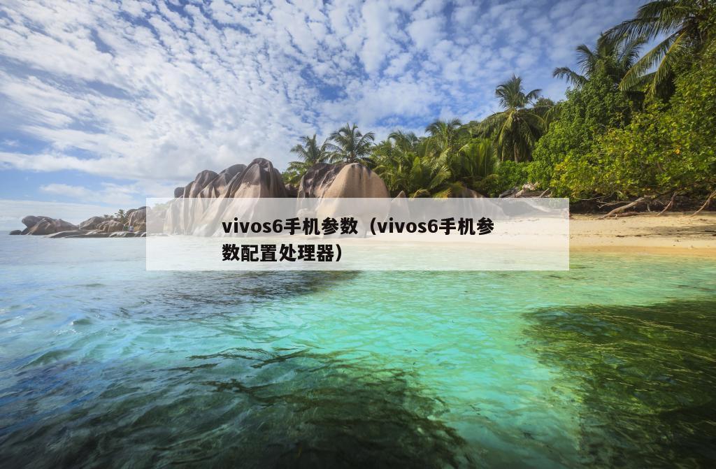 vivos6手机参数（vivos6手机参数配置处理器）