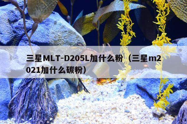 三星MLT-D205L加什么粉（三星m2021加什么碳粉）