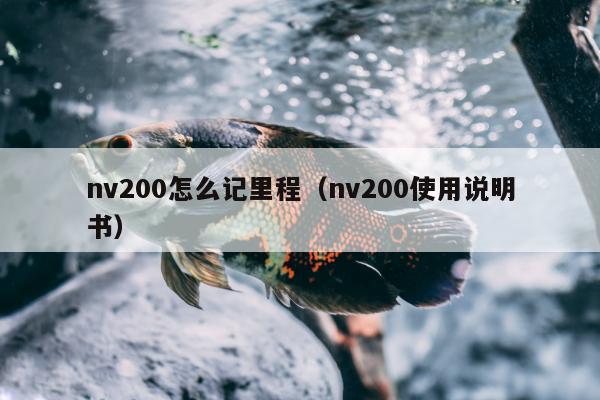 nv200怎么记里程（nv200使用说明书）