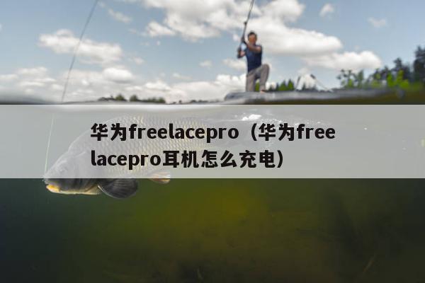 华为freelacepro（华为freelacepro耳机怎么充电）