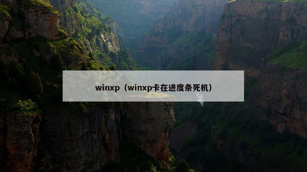 winxp（winxp卡在进度条死机）