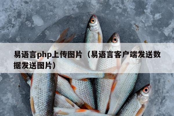 易语言php上传图片（易语言客户端发送数据发送图片）