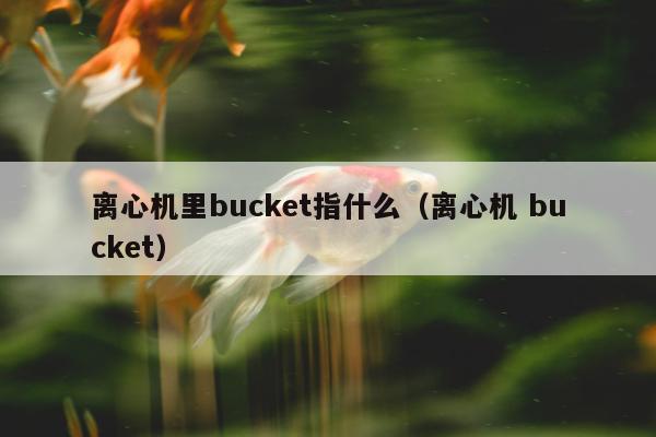 离心机里bucket指什么（离心机 bucket）