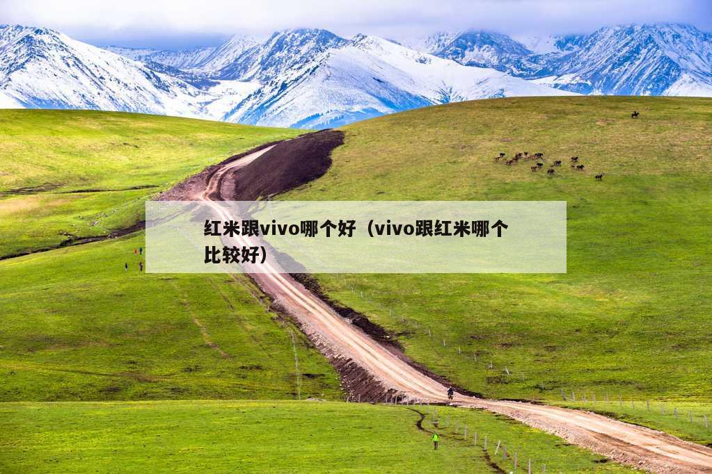 红米跟vivo哪个好（vivo跟红米哪个比较好）