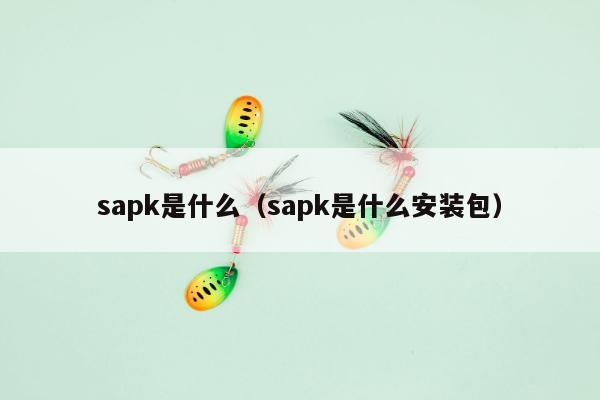 sapk是什么（sapk是什么安装包）