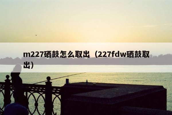 m227硒鼓怎么取出（227fdw硒鼓取出）