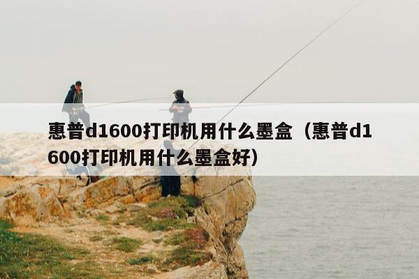 惠普d1600打印机用什么墨盒（惠普d1600打印机用什么墨盒好）