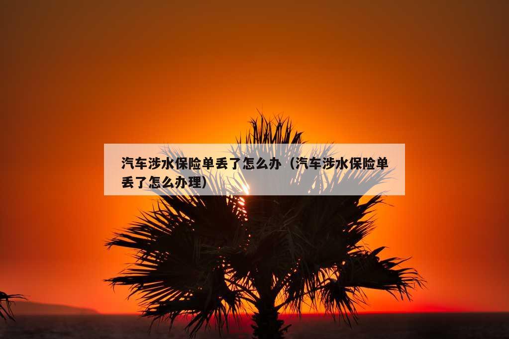 汽车涉水保险单丢了怎么办（汽车涉水保险单丢了怎么办理）