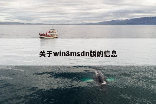 关于win8msdn版的信息