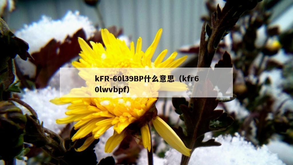 kFR-60l39BP什么意思（kfr60lwvbpf）