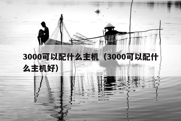 3000可以配什么主机（3000可以配什么主机好）