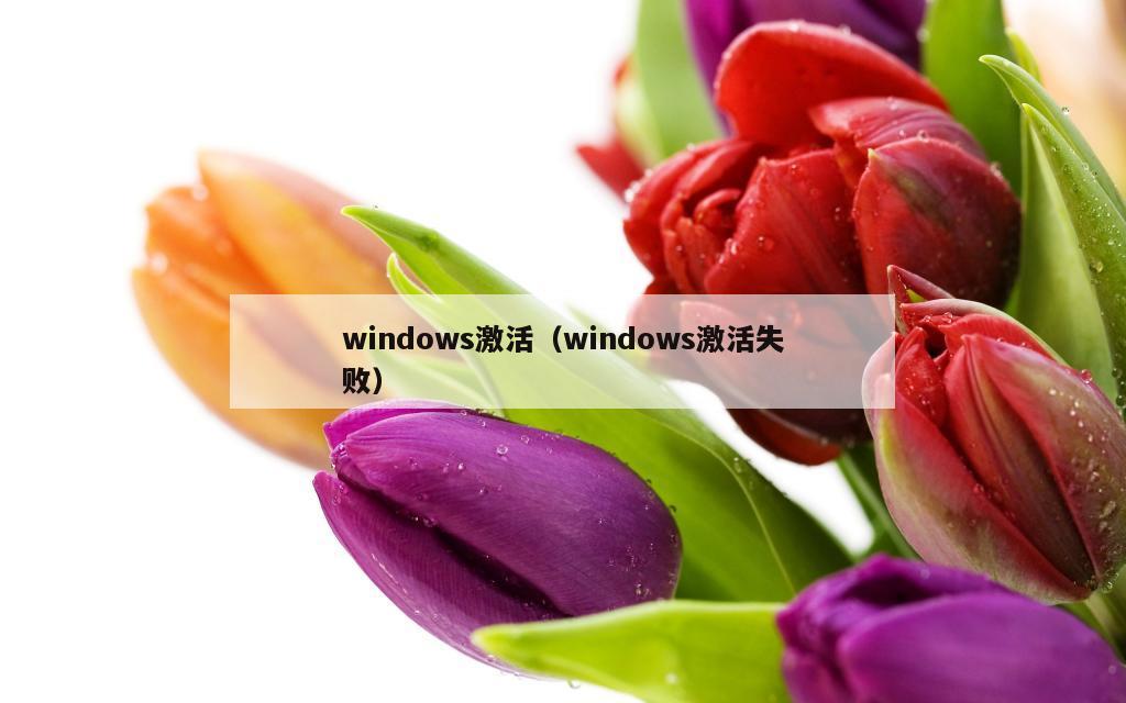 windows激活（windows激活失败）