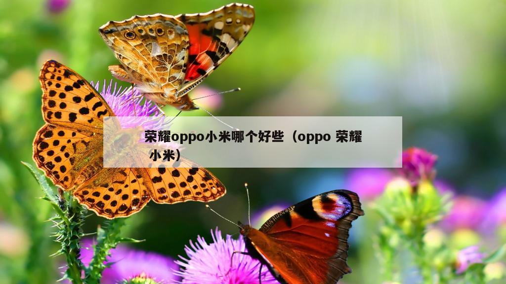 荣耀oppo小米哪个好些（oppo 荣耀 小米）