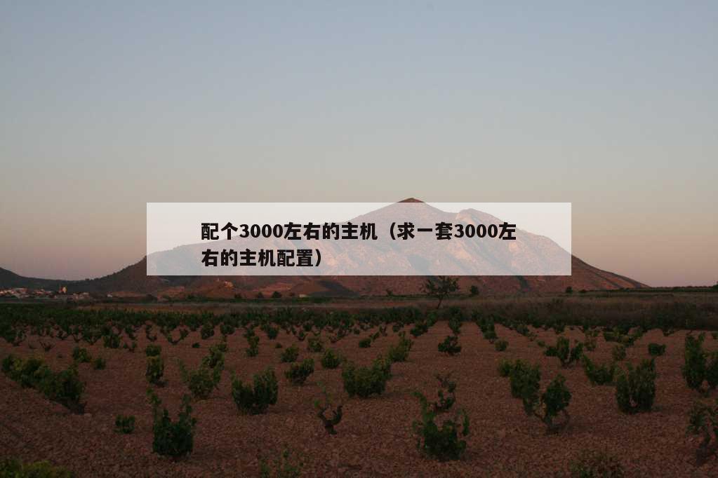 配个3000左右的主机（求一套3000左右的主机配置）