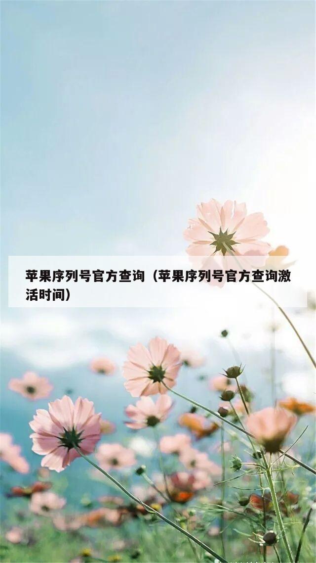 苹果序列号官方查询（苹果序列号官方查询激活时间）