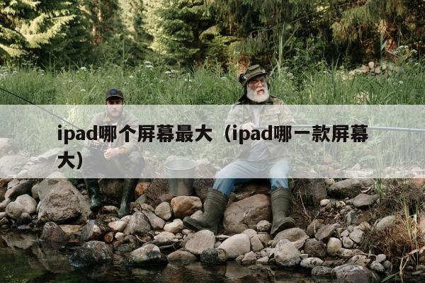 ipad哪个屏幕最大（ipad哪一款屏幕大）